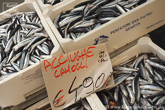 Genua, Frische Sardinen aus Camogli