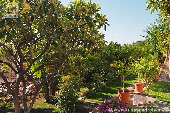 Giardini Naxos, Zitrusbäume und Mispeln im Garten des B&B Villa Vittoria