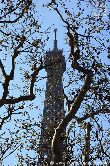 Paris, Spitze des Eiffelturms