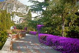 Promenade gesäumt von einer purpurroten Bougainvillea-Hecke im botanischen Garten, Taormina