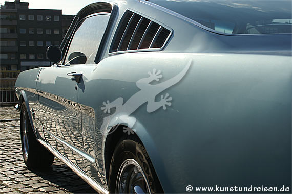 Mustang, Photo