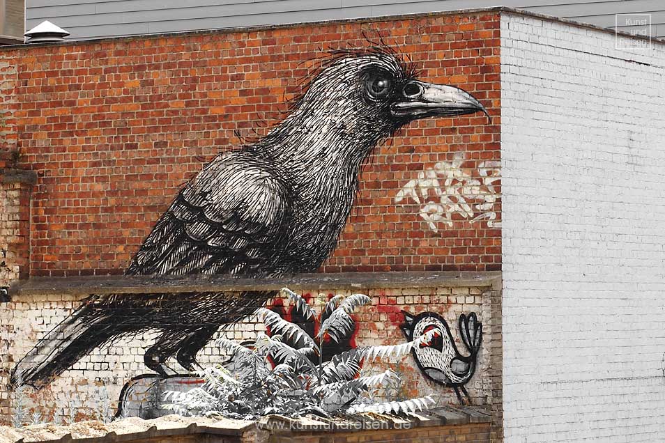 Street Art Graffiti Mural ROA Vogel Gent, Belgien