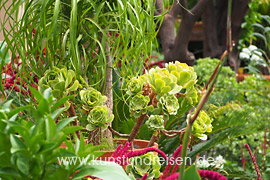Botanischer Garten der Villa Schuler mit zahlreichen Sukkulenten, Taormina